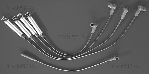 Ignition Cable Kit TRISCAN 88604122