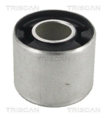 Mounting, control/trailing arm TRISCAN 850023889
