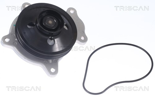Water Pump, engine cooling TRISCAN 860013048