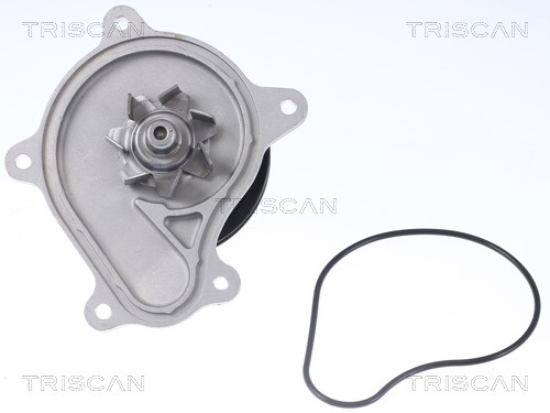 Water Pump, engine cooling TRISCAN 860013048 2