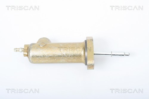 Slave Cylinder, clutch TRISCAN 813023302