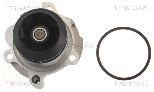 Water Pump, engine cooling TRISCAN 860029063 2