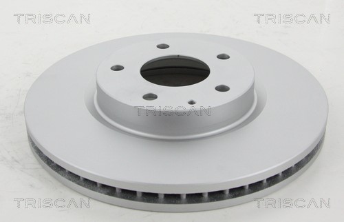 Brake Disc TRISCAN 812050176C