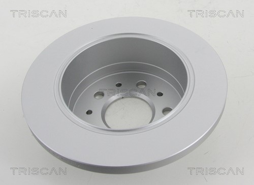 Brake Disc TRISCAN 812010199C 2