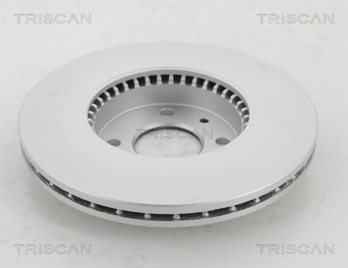 Brake Disc TRISCAN 812025109C 2