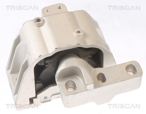 Mounting, engine TRISCAN 850529107 3