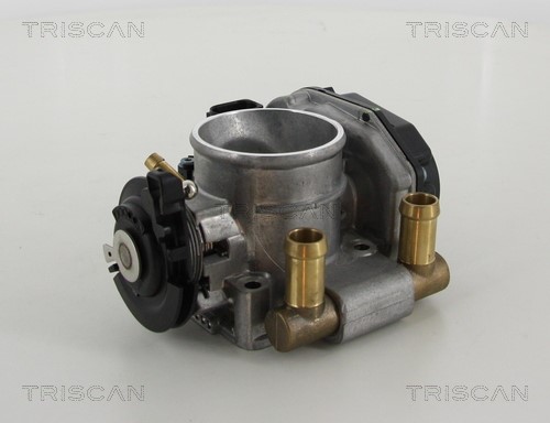 Throttle Body TRISCAN 882029014