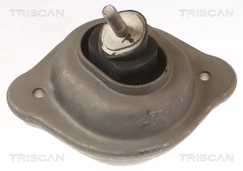 Mounting, engine TRISCAN 850511119
