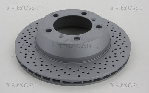 Brake Disc TRISCAN 8120101061C