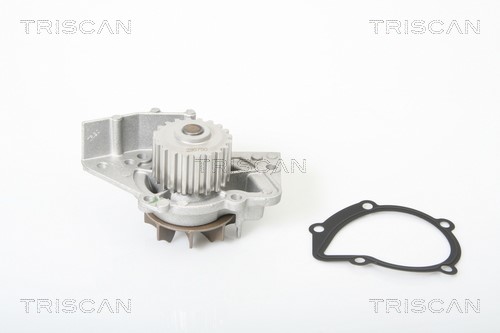 Water Pump, engine cooling TRISCAN 860028010