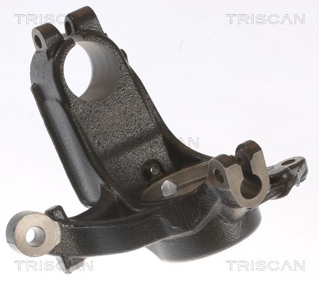 Steering Knuckle, wheel suspension TRISCAN 850028703