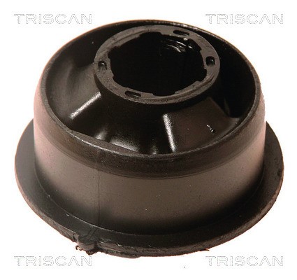 Mounting, control/trailing arm TRISCAN 850027831