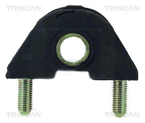 Mounting, control/trailing arm TRISCAN 850028806