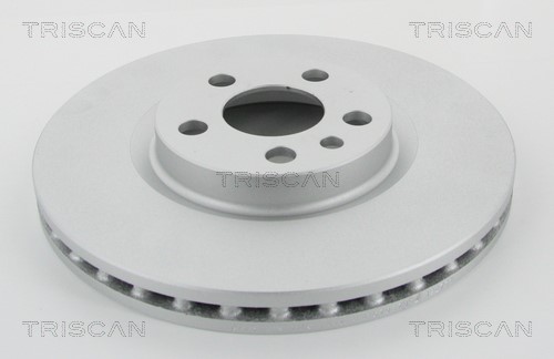 Brake Disc TRISCAN 812010142C