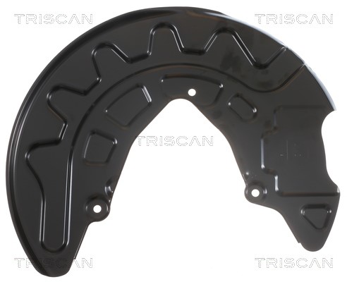 Splash Panel, brake disc TRISCAN 812529106 2