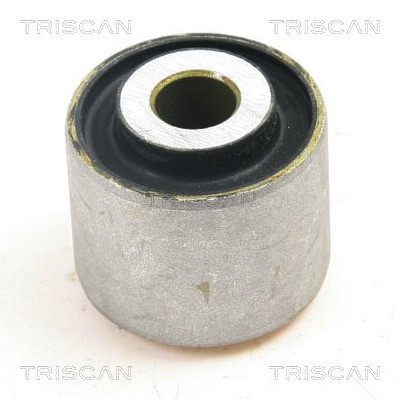 Mounting, control/trailing arm TRISCAN 850029870