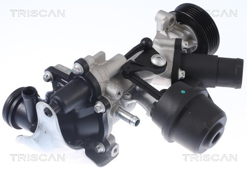 Water Pump, engine cooling TRISCAN 860023077
