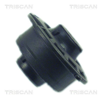 Mounting, control/trailing arm TRISCAN 850038802