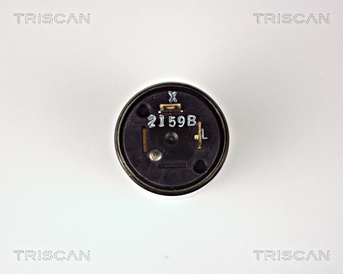 Flasher Unit TRISCAN 1000HD12 3