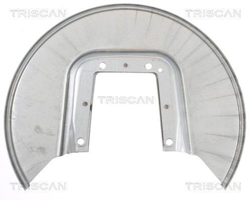 Splash Panel, brake disc TRISCAN 812528202