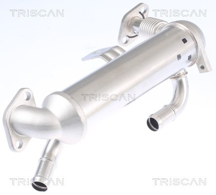 Cooler, exhaust gas recirculation TRISCAN 881343103 2