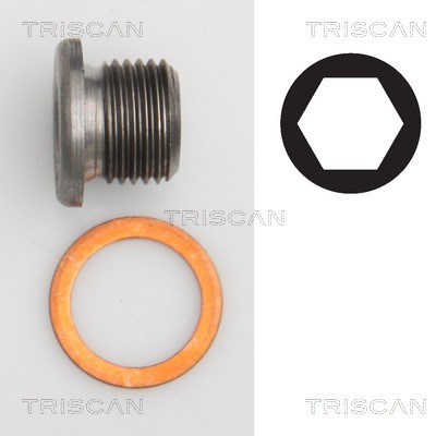 Screw Plug, oil sump TRISCAN 95002403