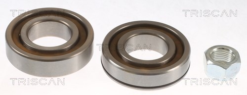 Wheel Bearing Kit TRISCAN 853025102 2