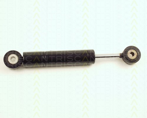 Vibration Damper, V-ribbed belt TRISCAN 871023400