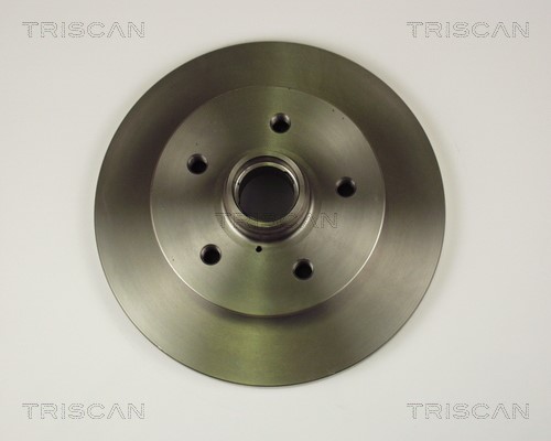 Brake Disc TRISCAN 812029125