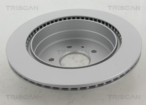 Brake Disc TRISCAN 8120101016C 2