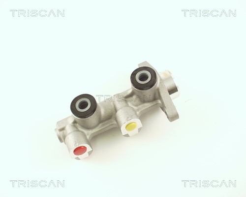 Brake Master Cylinder TRISCAN 813024124