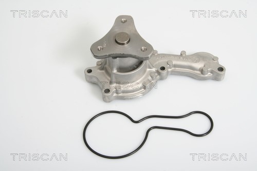 Water Pump, engine cooling TRISCAN 860040012