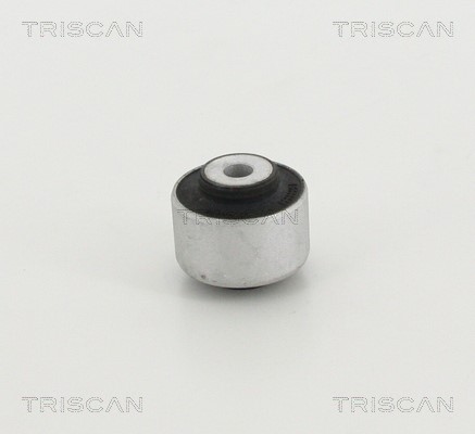 Mounting, control/trailing arm TRISCAN 8500298041