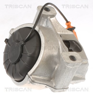 Mounting, engine TRISCAN 850529133