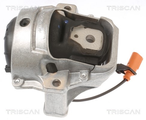 Mounting, engine TRISCAN 850529133 3