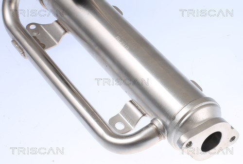 Cooler, exhaust gas recirculation TRISCAN 881329320 4