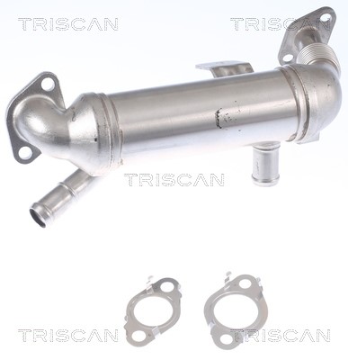 Cooler, exhaust gas recirculation TRISCAN 881343106 2