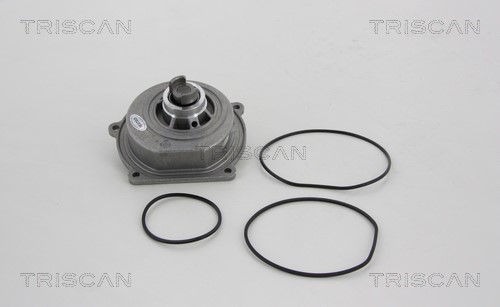 Water Pump, engine cooling TRISCAN 860017011