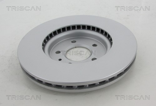 Brake Disc TRISCAN 812024171C 2