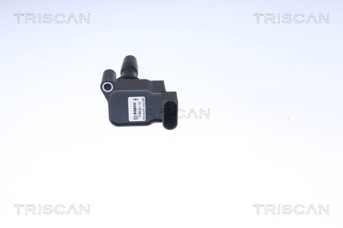 Ignition Coil TRISCAN 886029065 2