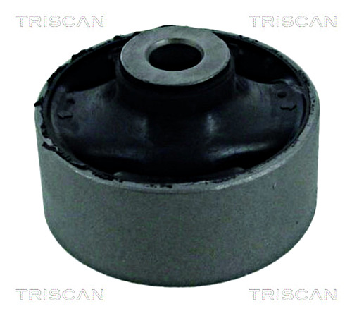 Mounting, control/trailing arm TRISCAN 850040807