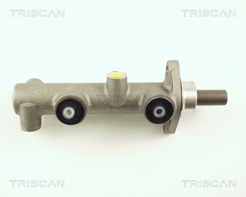 Brake Master Cylinder TRISCAN 813029105