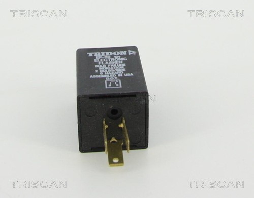 Flasher Unit TRISCAN 1010EP32