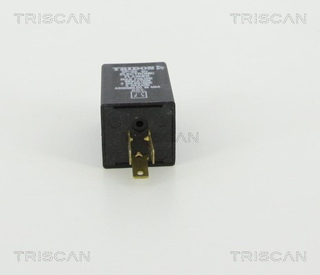 Flasher Unit TRISCAN 1010EP32 2
