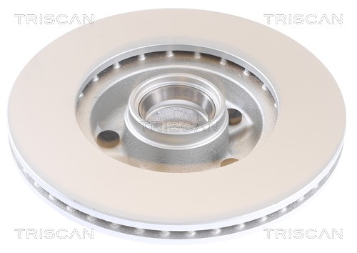 Brake Disc TRISCAN 812016169C 2