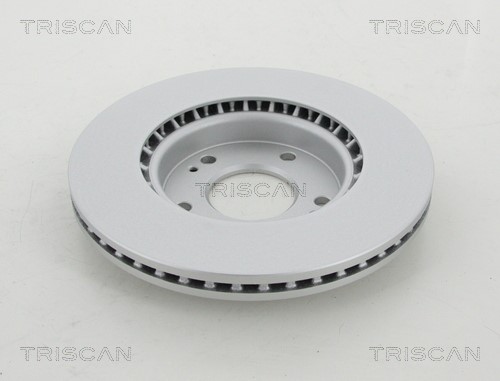 Brake Disc TRISCAN 812043173C 2