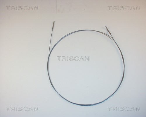 Accelerator Cable TRISCAN 814029313