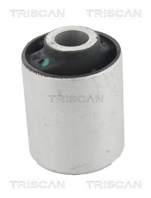 Mounting, control/trailing arm TRISCAN 850023892