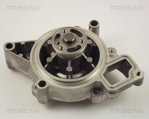 Water Pump, engine cooling TRISCAN 860024015
