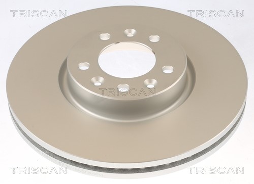 Brake Disc TRISCAN 8120101089C